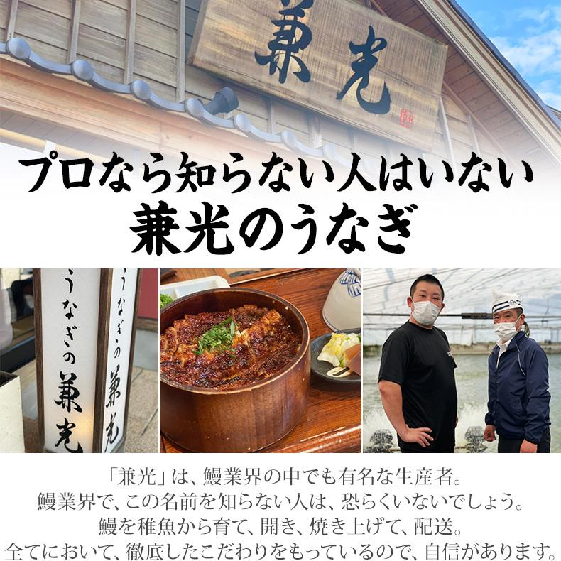 うなぎ 国産 愛知三河一色産 詰め合わせ 母の日 ギフト 22 蒲焼き 白焼き ウナギ 鰻 魚耕ヤフー店 通販 Yahoo ショッピング