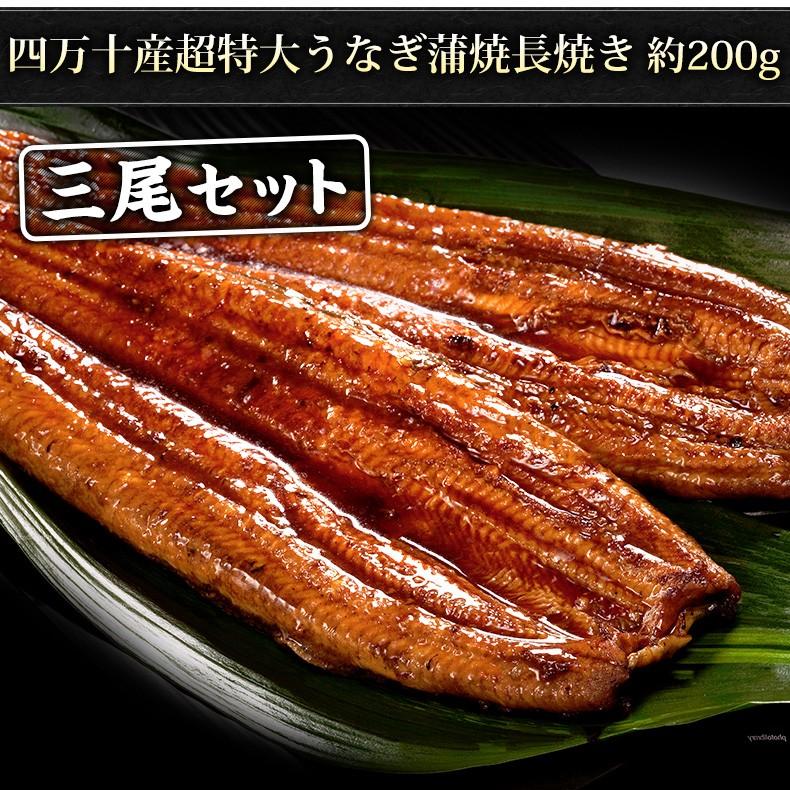 うなぎ 国産 蒲焼き お取り寄せグルメ 高知県四万十産うなぎ 超特大サイズ 長焼き 約0g 3尾 最高級 鰻 魚耕ヤフー店 通販 Yahoo ショッピング