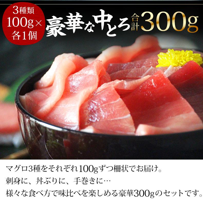 天然本マグロ 中トロ 3種約2人前 各100g 3個 300g ミナミマグロ 本マグロ めばち鮪 魚耕ヤフー店 通販 Yahoo ショッピング