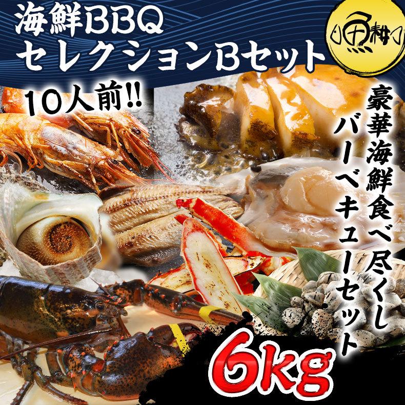 レビューを書けば送料当店負担 海鮮バーベキューセレクションb 老舗魚耕の確かな目利きで選んだ豪華海鮮バーベキューセット オマールエビ たらばがに 特大しまほっけ あさり あわび 赤エビ ほたて貝 さざえ 魚介類 海産物 Postetelecom Gouv Cg