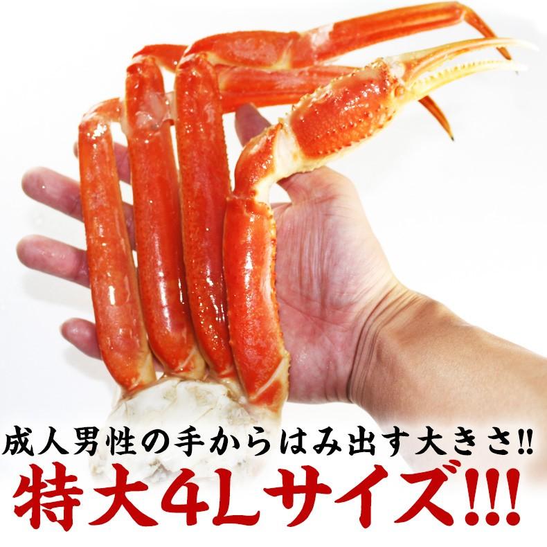 お取り寄せグルメ かに 海鮮 ズワイガニ ずわいがに ボイル 冷凍 お取り寄せグルメ かに 海鮮 ズワイガニ ずわいがに ボイル 冷凍