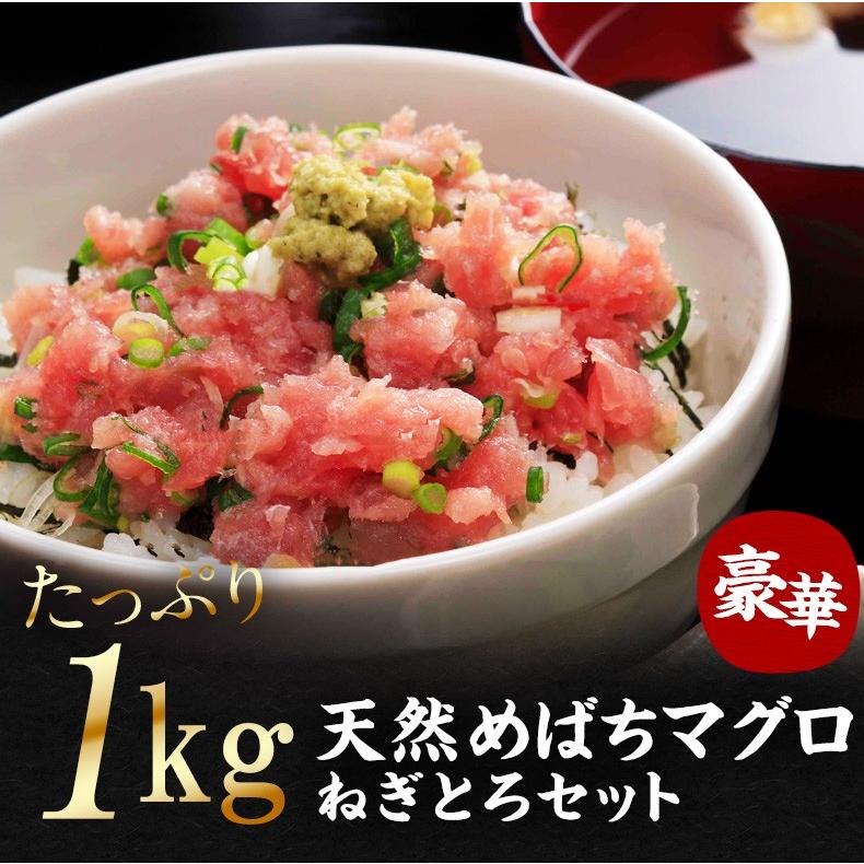 父の日 2026 ネギトロ 1kg 100g×10 マグロたたき 冷凍 天然めばち