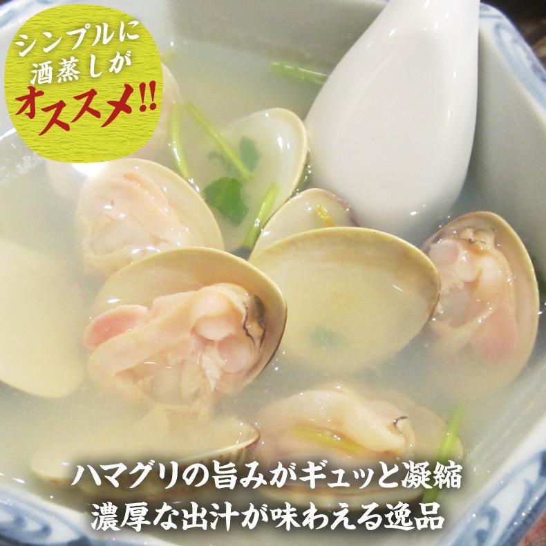 はまぐり 殻付きハマグリ 500g 砂抜き済ですぐ料理に使える！ 殻