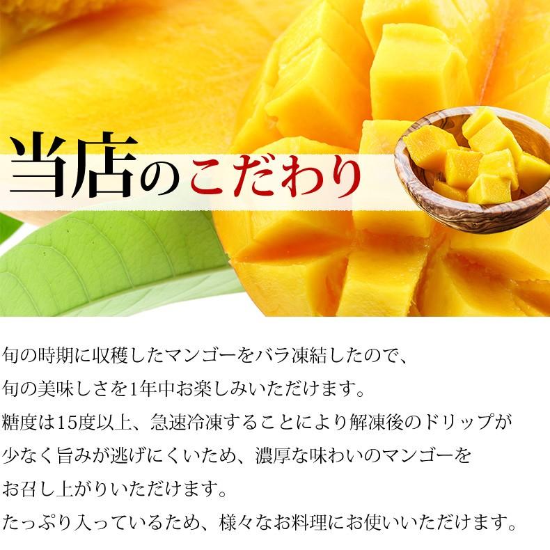 プレミアムマンゴー 冷凍 1kg 無添加 ベトナム産 500g 2 カット済み フルーツ 魚耕ヤフー店 通販 Yahoo ショッピング