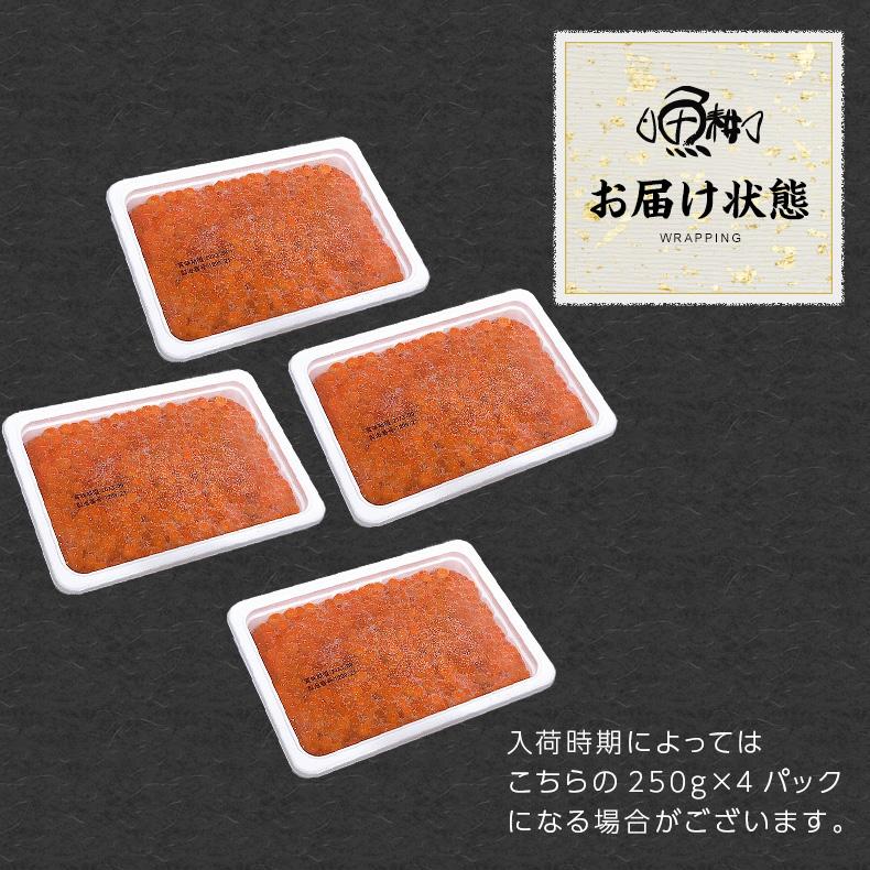 いくら 1kg 醤油漬け 鮭 大粒 北海道産 最高級3特グレード 2025年新物
