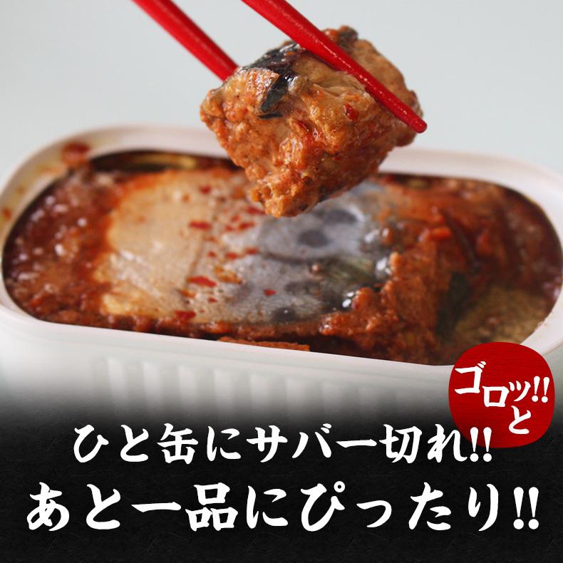 さば缶 9種のスパイスで煮込んだ鯖缶 サ・バイブス Savibes さば缶 9種のスパイスで煮込んだ鯖缶 サ・バイブス Savibes