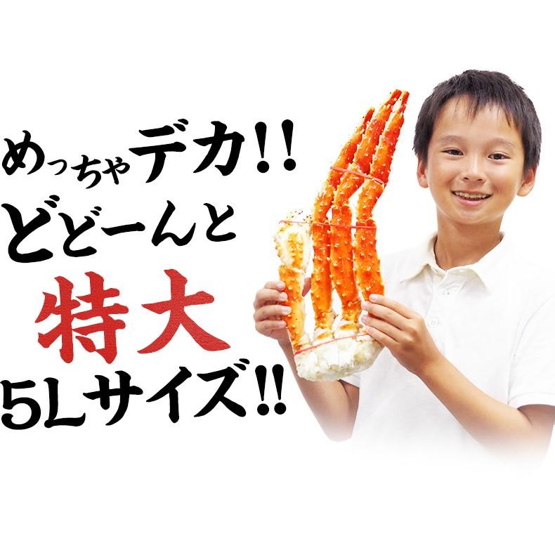 お歳暮 2025 本 タラバガニ ボイル 5Lサイズ 2kg 1kg×2 肩 たらばがに