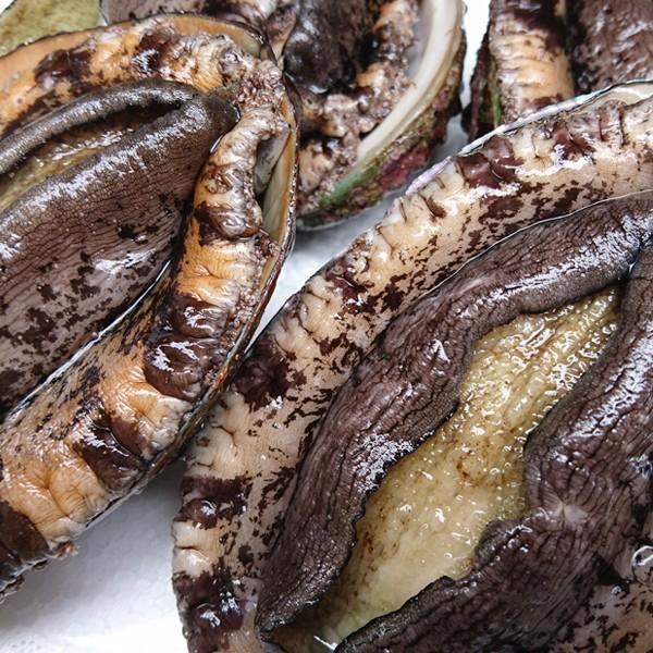 新潟産 天然 活「黒アワビ」あわび 500g 訳あり 送料無料 : 日本海の幸