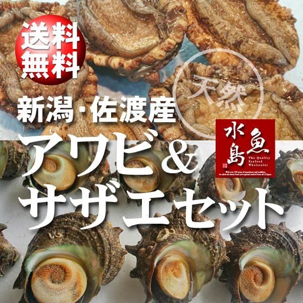 「あわび&さざえセット」 新潟産 天然 活アワビ500g＋活サザエ100g&times;10個 送料無料