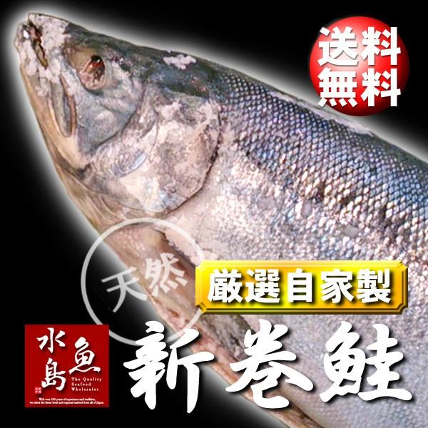 厳選 新潟産 期間限定 天然 新巻鮭 超熱 4kg物 数量限定生産 送料無料