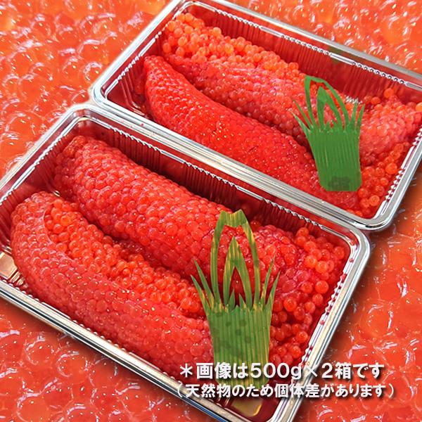 日本海・新潟産 生筋子（生いくら）季節限定「ずっしり大粒 生すじこ