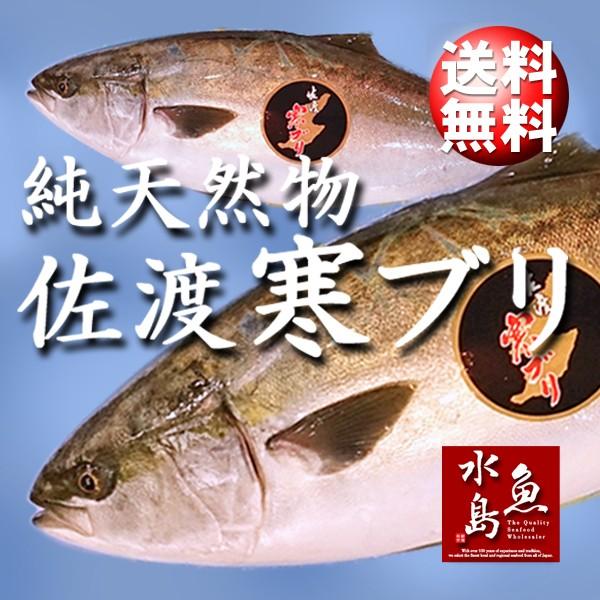 USED 新潟 佐度産 天然 鰤 寒ブリ 「佐渡 寒ぶり」 13.0kg以上 一尾丸もの 送料無料 【8364090433】(30420円)