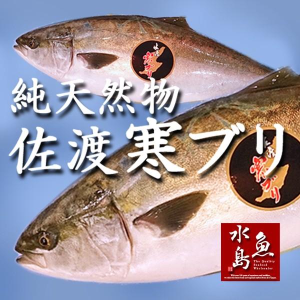 新潟 佐度産 天然 鰤 寒ブリ 「佐渡 寒ぶり」 3.0kg〜3.9kg 一尾丸もの 送料無料_6