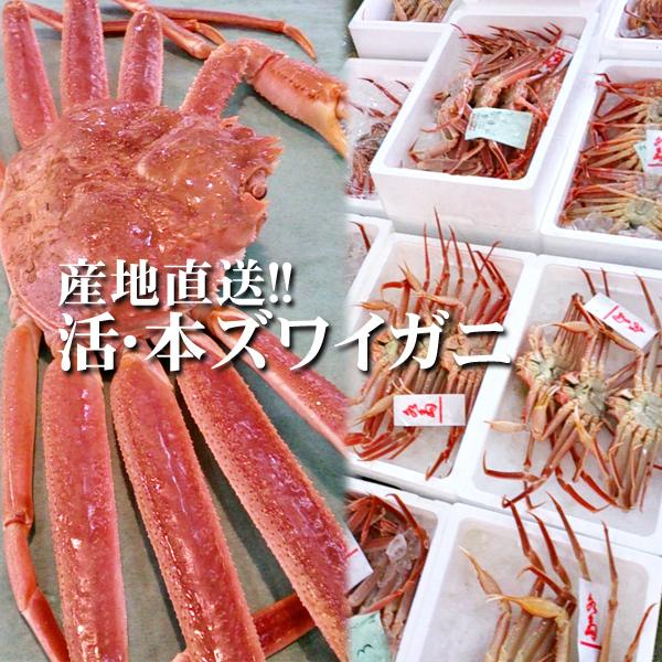 活ズワイガニ姿 新潟・佐渡産「活 本ズワイガニ」（生 本ずわい蟹）大600g以上 2杯 送料無料 佐渡産