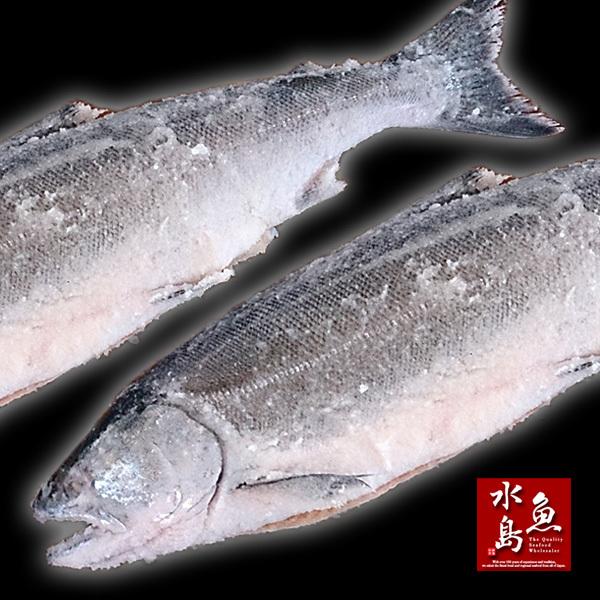 厳選自家製 塩マス（サクラマス 本鱒）1.5〜1.9kg｜uomizushima｜06