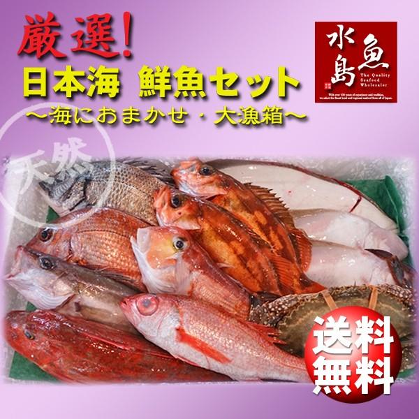 厳選 日本海の鮮魚セット「海におまかせ・大漁箱 超贅沢編」 大満足