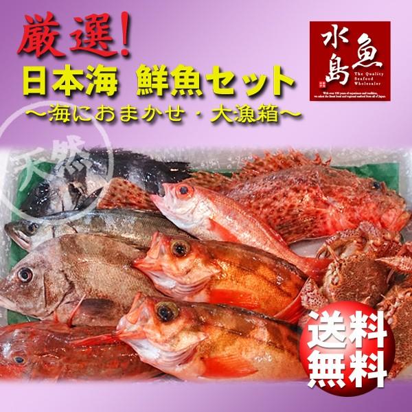 厳選 日本海の鮮魚セット「海におまかせ・大漁箱 超贅沢編」 大満足 
