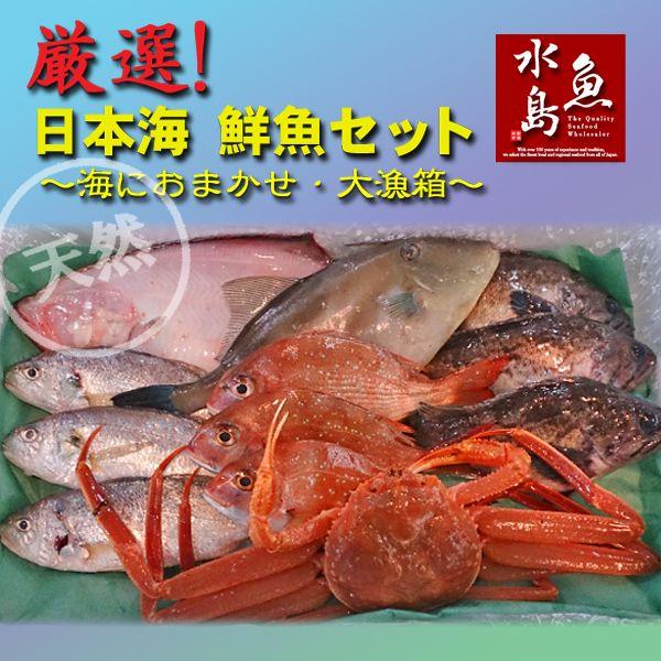 最大95％オフ！ 厳選 日本海の鮮魚セット 海におまかせ 93%OFF 大漁箱 大満足詰め合わせ