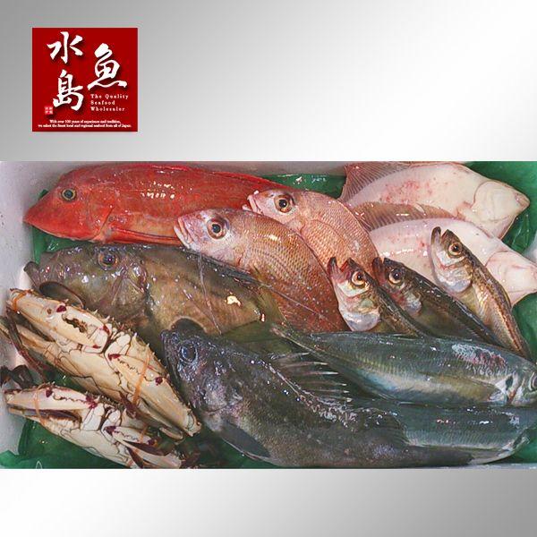 厳選 日本海の鮮魚セット「海におまかせ・大漁箱」 大満足詰め合わせ|uomizushima|02