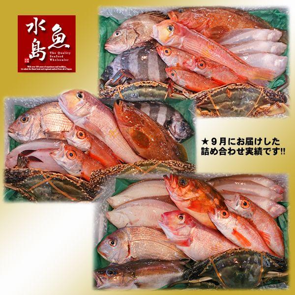 厳選 日本海の鮮魚セット「海におまかせ・大漁箱 ちょっと贅沢編」 大