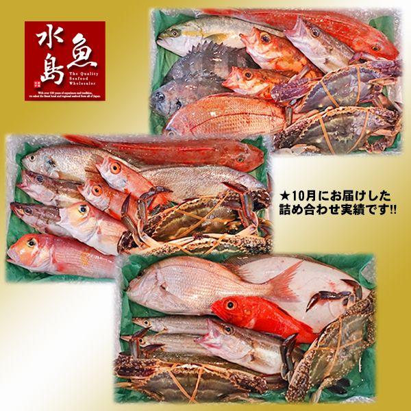 厳選 日本海の鮮魚セット「海におまかせ・大漁箱 ちょっと贅沢編」 大満足詰め合わせ