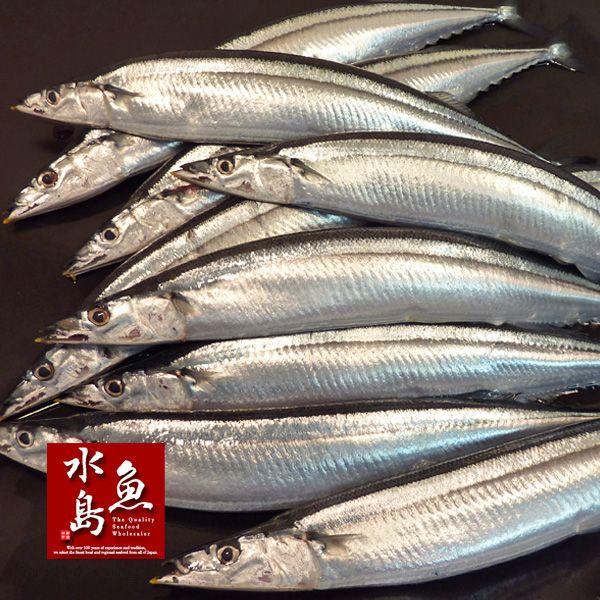 秋刀魚さん専用 PU素材 原寸フィギュア 旬の秋刀魚！ （30個入り） | ガチャガチャ通販