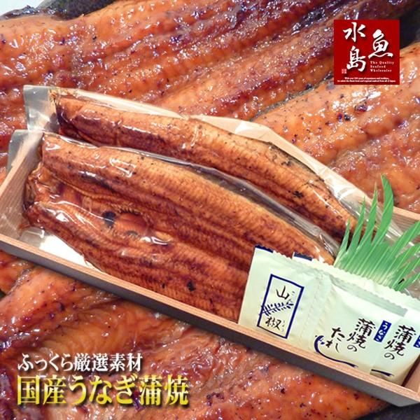 国産 鰻うなぎ蒲焼き ふっくら厳選素材 約30cm超特大 約200g×2尾 父の日ギフト/土用丑の日/お中元 :UG-K2002:日本海の幸 新潟・魚水島 - 通販 - Yahoo!ショッピング 国産 鰻うなぎ蒲焼き ふっくら厳選素材 約30cm超特大 約200g×2尾 父の日ギフト/土用丑の日/お中元 :UG-K2002:日本海の幸 新潟・魚水島 - 通販 - Yahoo!ショッピング