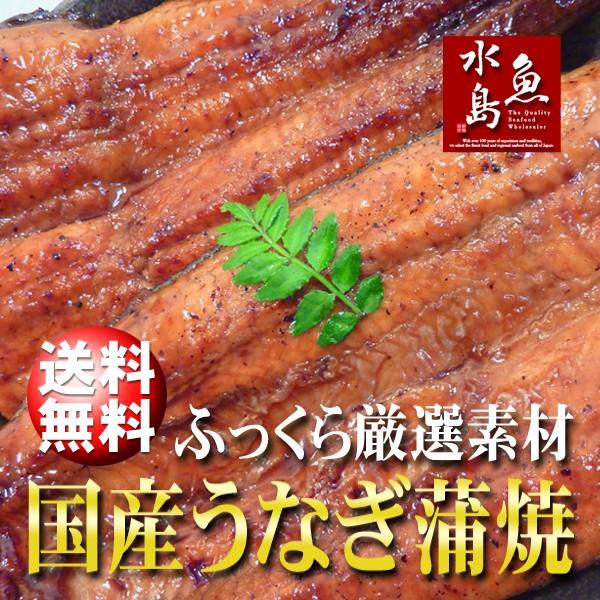 国産 鰻うなぎ蒲焼き ふっくら厳選素材 約30cm超特大 約200g×5尾 メガ盛り1kg 父の日ギフト/土用丑の日/お中元 送料無料_6