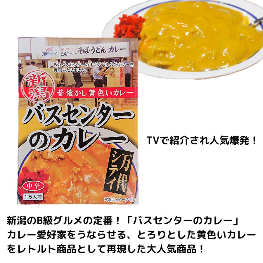 限定価格セール！】 カレー 米 新潟県 南魚沼産コシヒカリ 新潟バスセンターのカレー ３個 城内農産 2合 2袋 送料無料 本州 中四国のみ 