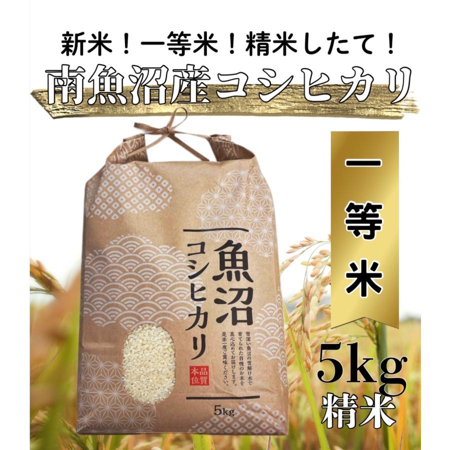令和7年度産 南魚沼コシヒカリ 味に自信あり！ 塩沢地区一等米 5kg 特A 単一原料米 精米したてでお届け（Yahoo!・魚沼お米市場）