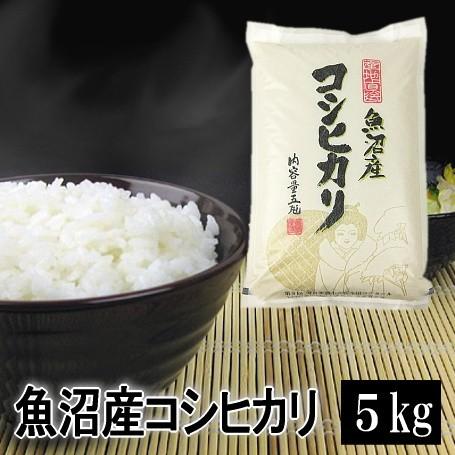 令和7年産 米 5kg 魚沼産コシヒカリ 令和7年産 白米 送料無料（北海道・九州・沖縄は除く）離島は発送不可 | コシヒカリ