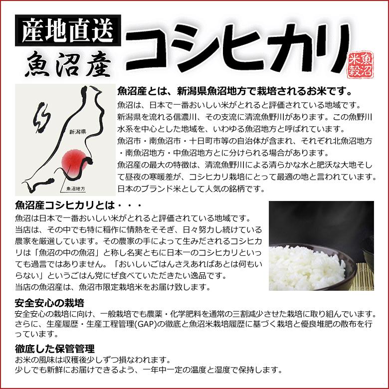 令和7年産 米 5kg 魚沼産コシヒカリ 令和7年産 白米 送料無料（北海道・九州・沖縄は除く）離島は発送不可 | コシヒカリ | 02