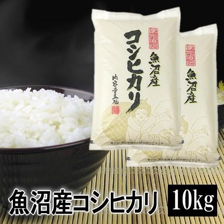 コシヒカリ 令和7年産 米 10kg 5kg×2 魚沼産コシヒカリ 令和7年産 白米