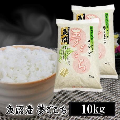 夢ごこち 米 10kg 5kg×2 魚沼産夢ごこち 令和7年産 白米 送料無料