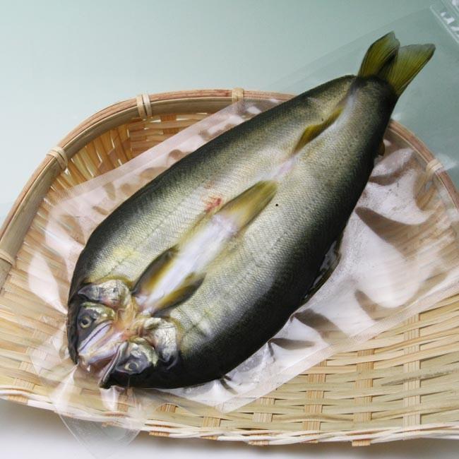 鮎一夜干し 大 5尾 干すことで旨味凝縮 アユ 高級干物 Ayuhi Dai5 伊勢の国の美味いもの 魚佐太 通販 Yahoo ショッピング