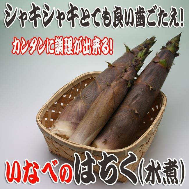 ハチク水煮 250g たけのこ 国産 はちく 淡竹 竹の子 Hachiku 伊勢の国の美味いもの 魚佐太 通販 Yahoo ショッピング