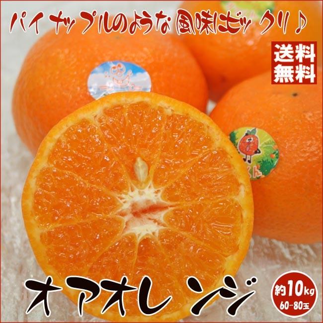 オアオレンジ 約10kg 60 80玉前後 イスラエル産 大盛りお徳用 Or Orange03 伊勢の国の美味いもの 魚佐太 通販 Yahoo ショッピング