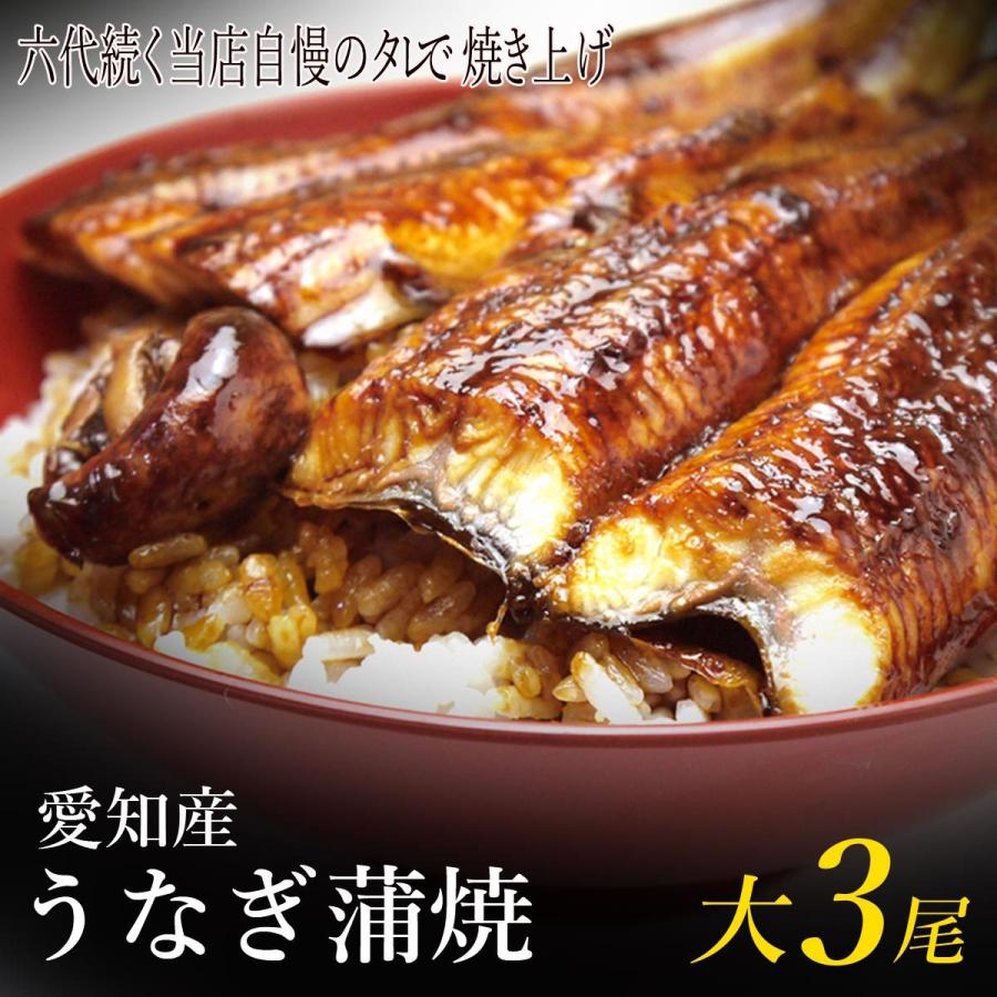 売れ筋がひクリスマスプレゼント 六代続く当店の秘伝のタレで焼き上げ冷蔵発送 送料無料 うなぎ蒲焼き 冷蔵発送 肝 粉山椒 山葵付き 朝開き 愛知産 大3尾 魚介類 海産物 Postetelecom Gouv Cg