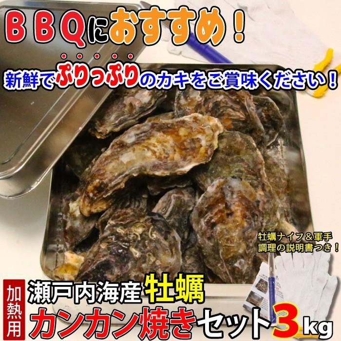 瀬戸内海産 牡蠣 カンカン焼きセット 3kg (1缶に約36個〜54個) 殻付き カキ かき 鮮魚 缶 BBQ ギフト