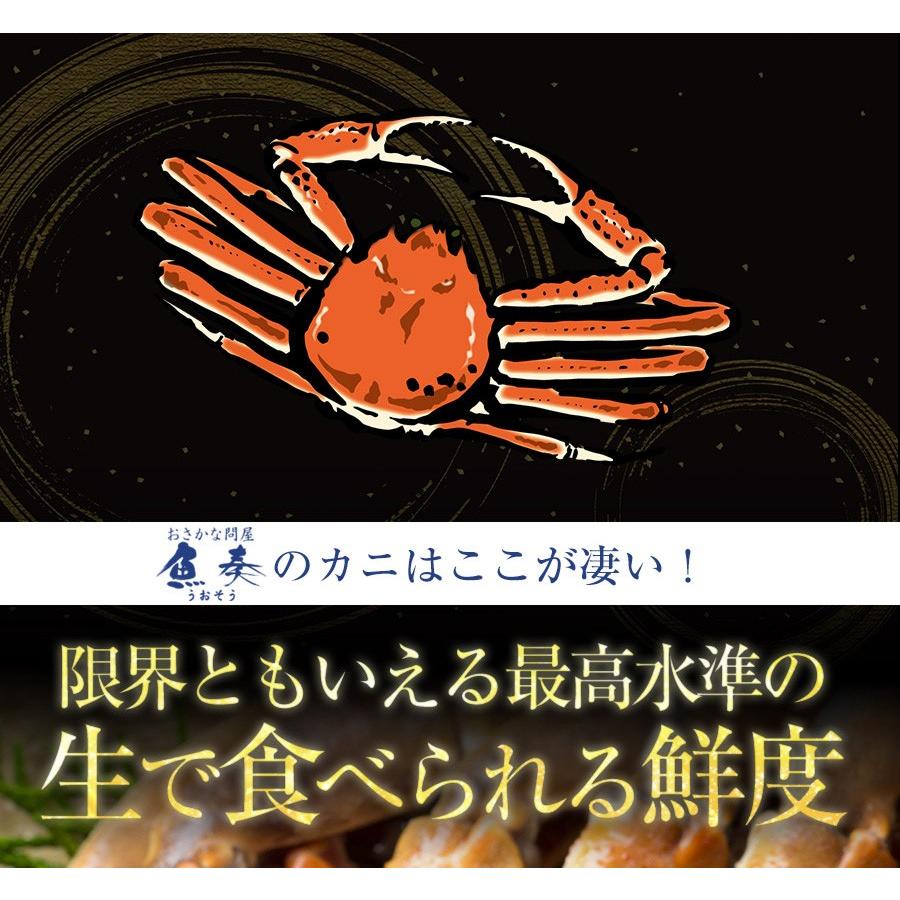 ズワイガニ しゃぶしゃぶ用 1.5kg（500g×3P) 60本入 ポーション カニ かに 蟹 ずわい お歳暮 歳末 お歳暮 年末グルメ 贈答 迎春 | おさかな問屋 魚奏 | 04