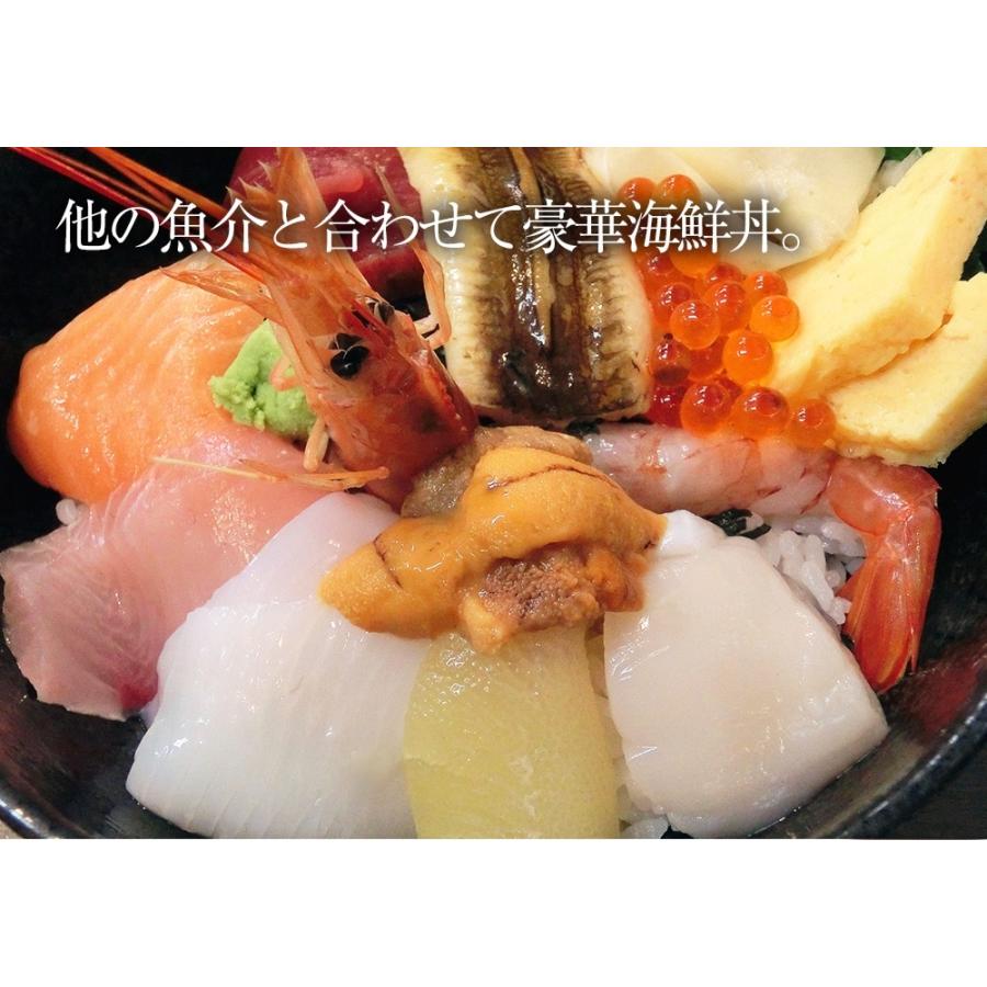 訳あり 生ほたて貝柱 大玉 1kg ホタテ 帆立 生食用 刺身用 お歳暮 ギフト 海鮮グルメ 北海道 歳末 お歳暮 年末グルメ 贈答 迎春 | おさかな問屋 魚奏 | 11