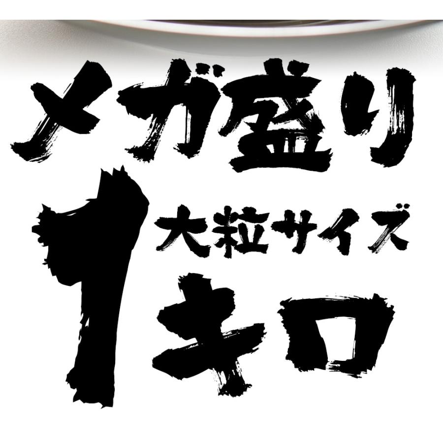 訳あり 生ほたて貝柱 大玉 1kg ホタテ 帆立 生食用 刺身用 お歳暮 ギフト 海鮮グルメ 北海道 歳末 お歳暮 年末グルメ 贈答 迎春 | おさかな問屋 魚奏 | 13