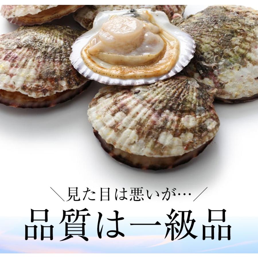 訳あり 生ほたて貝柱 大玉 1kg ホタテ 帆立 生食用 刺身用 お歳暮 ギフト 海鮮グルメ 北海道 歳末 お歳暮 年末グルメ 贈答 迎春 | おさかな問屋 魚奏 | 04