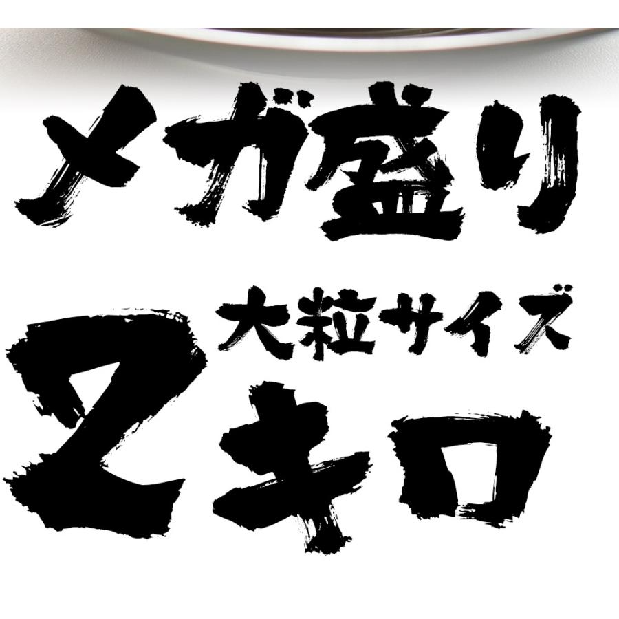 生ほたて貝柱 2kg(1kg×2パック） 大玉 ひび割れ 欠け 訳あり ほたて ホタテ 帆立 生食 刺身 海鮮 歳末 お歳暮 年末グルメ 贈答 迎春 | おさかな問屋 魚奏 | 13