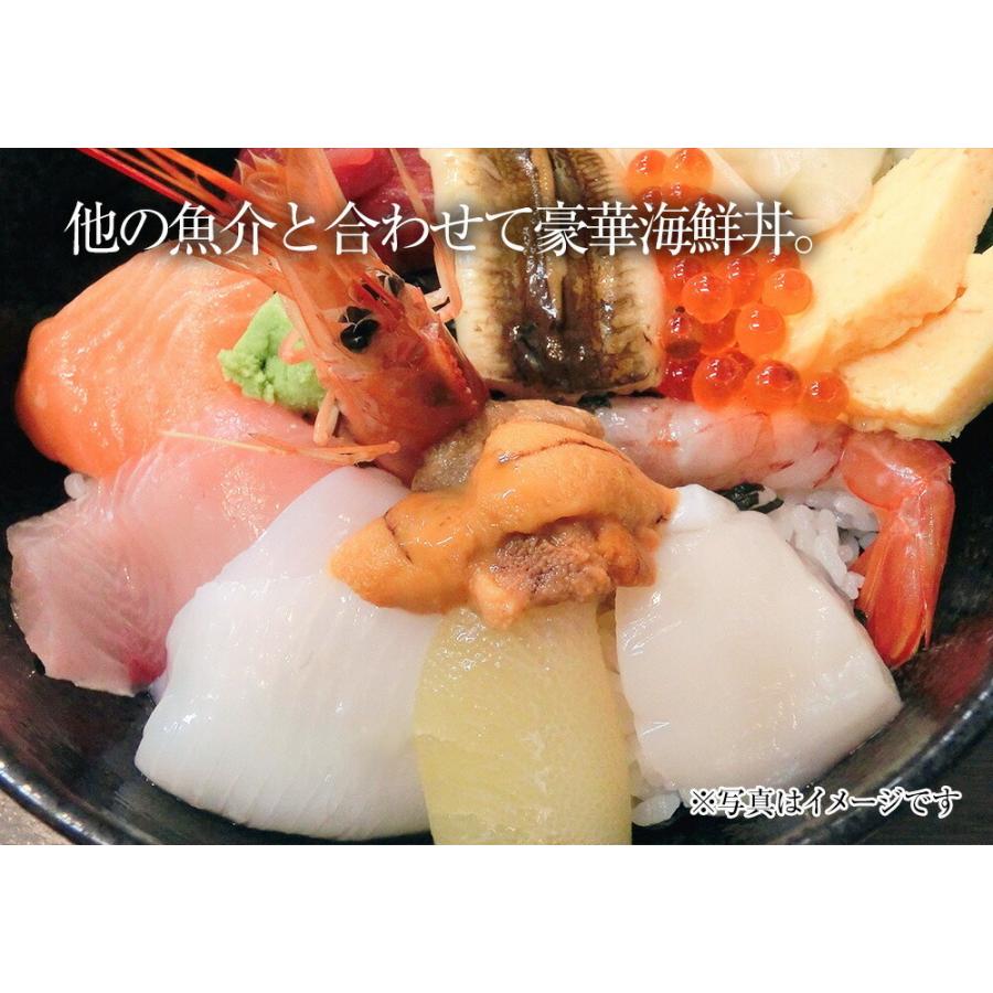 訳あり 生ほたて貝柱 3kg 無選別サイズ 割れ 欠け 崩れ 帆立 ホタテ 生食可 刺身 ソテー 弁当 業務用 母の日 父の日 敬老 中元 ギフト | おさかな問屋 魚奏 | 10