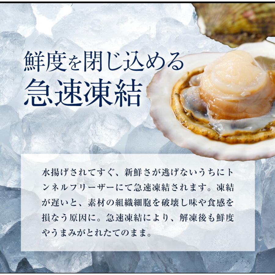 訳あり 生ほたて貝柱 3kg 無選別サイズ 割れ 欠け 崩れ 帆立 ホタテ 生食可 刺身 ソテー 弁当 業務用 母の日 父の日 敬老 中元 ギフト | おさかな問屋 魚奏 | 05