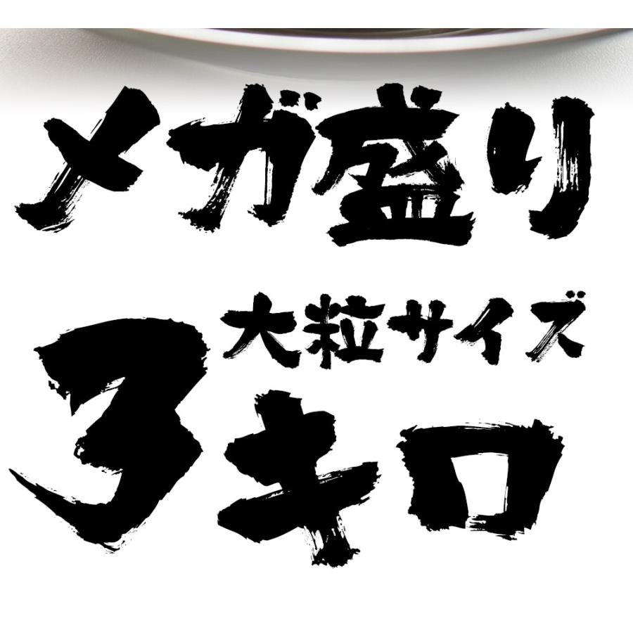 訳あり 生ほたて貝柱 3kg 大玉 ほたて ホタテ 帆立 生食用 刺身用 在宅応援 お歳暮 ギフト 海鮮グルメ 北海 母の日 父の日 敬老｜uosou｜14