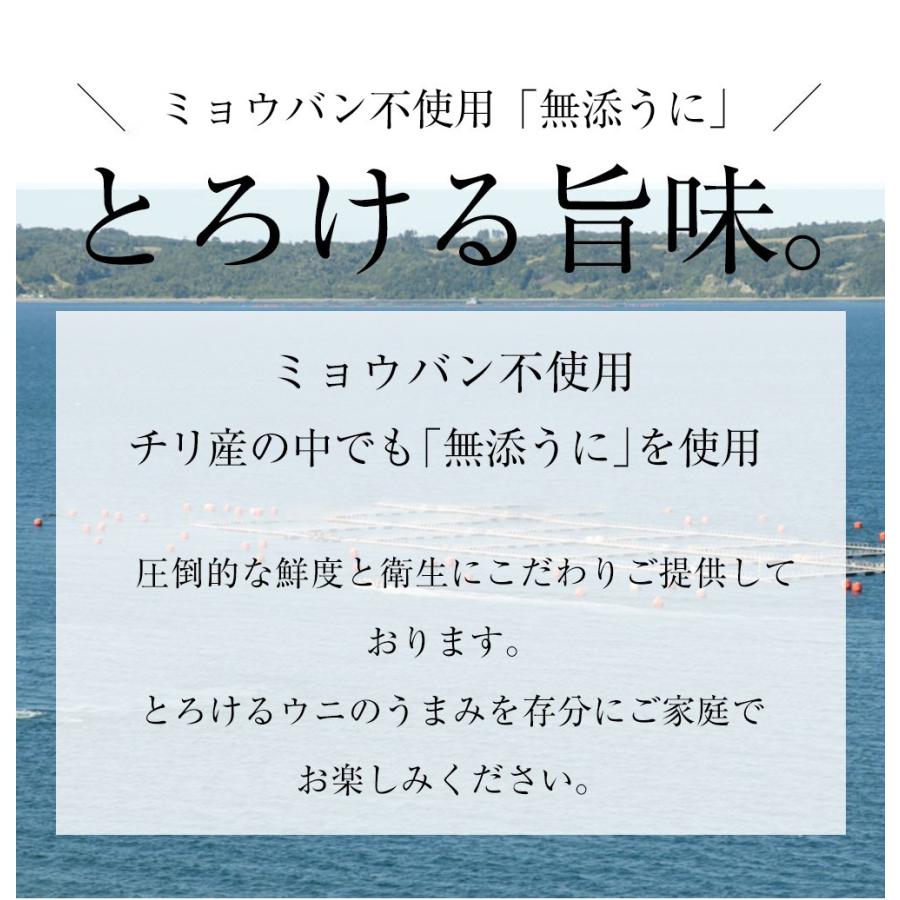 うに 雲丹 冷凍生うに 無添加 200g（100g×2P）ミョウバン不使用 うに丼4杯分 寿司 北海丼 歳末 お歳暮 年末グルメ 贈答 迎春 | おさかな問屋 魚奏 | 03