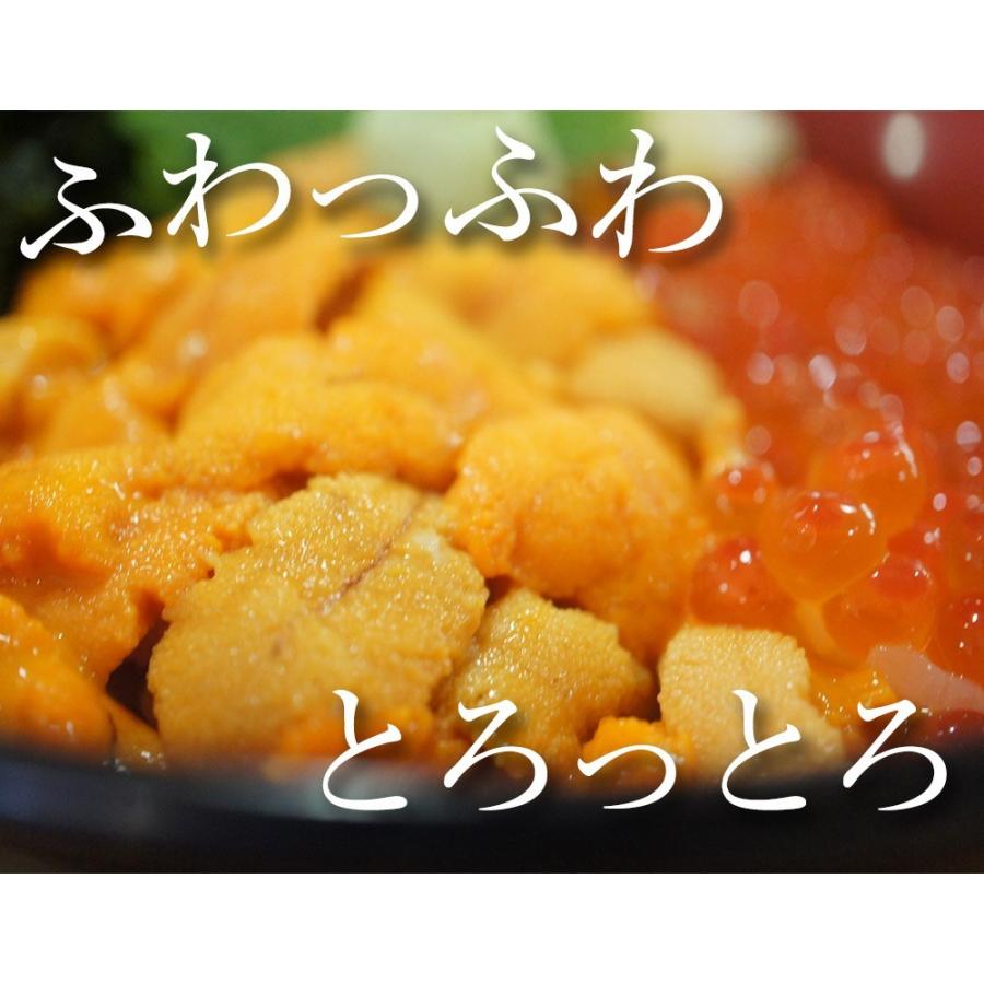 うに 雲丹 冷凍生うに 無添加 200g（100g×2P）ミョウバン不使用 うに丼4杯分 寿司 北海丼 歳末 お歳暮 年末グルメ 贈答 迎春 | おさかな問屋 魚奏 | 05