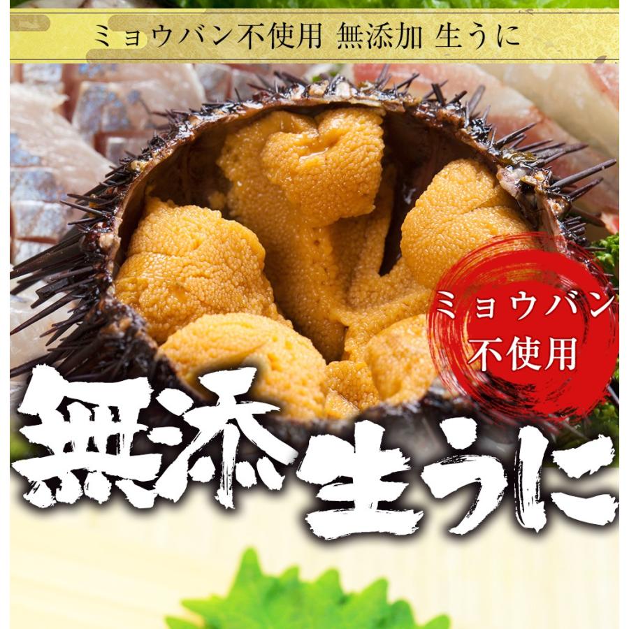 おさかな問屋 魚奏 うに 雲丹 冷凍生うに 無添加 300g(100g×3P おさかな問屋 魚奏 うに 雲丹 冷凍生うに 無添加 300g(100g×3P